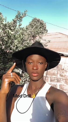 Mod Drill: A Cultural Exploration 🐊🦋