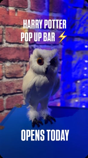 Great Lakes Brewing Co. Brewpub on Instagram: "Cleveland, we hear you! The response to our Harry Potter pop-up bar has been overwhelming, so we’re opening the doors even more! For the first time ever, magic is taking over the cellar pub from 1/16–1/19 with immersive décor, themed cocktails and mocktails, plus a full food menu. No reservations needed; first come, first served. Now opening at 12 PM TODAY 1/16 AND open MLK Day 1/19. Come see what everyone’s talking about before the spell breaks. ✨"