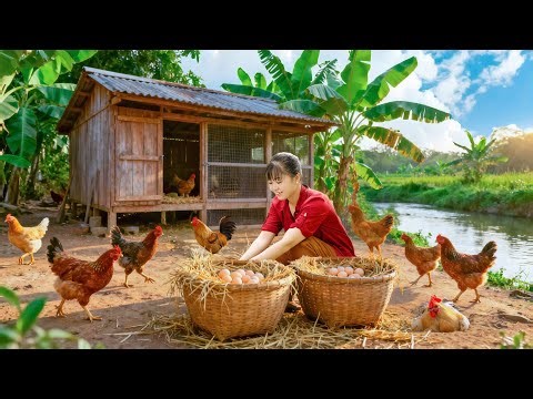 Rice Farming & Road Repair Hacks - Plant Seeds & Fix Potholes Safely