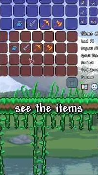 The BEST Duplication Glitches In Terraria