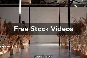 Assembly Hall Videos, Download The BEST Free 4k Stock Video Footage & Assembly Hall HD Video Clips