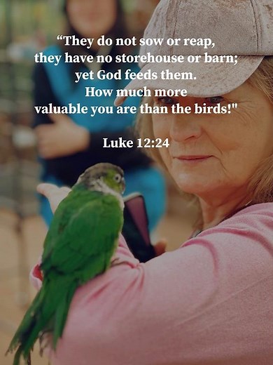 If God Feeds the Birds, He’ll Care for You 🐦 | Luke 12:24 | CeCe Winans – Goodness of God