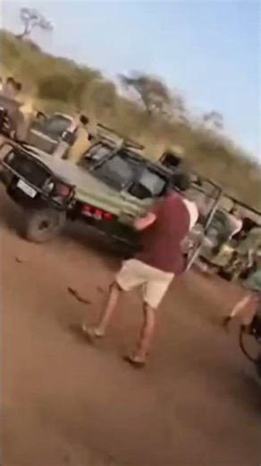 Lion ATTACK ,never leave your vehicle in a Safari