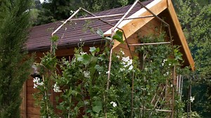 Arco para enredaderas