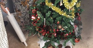 Why My Christmas Tree is Wrapped in Plastic
