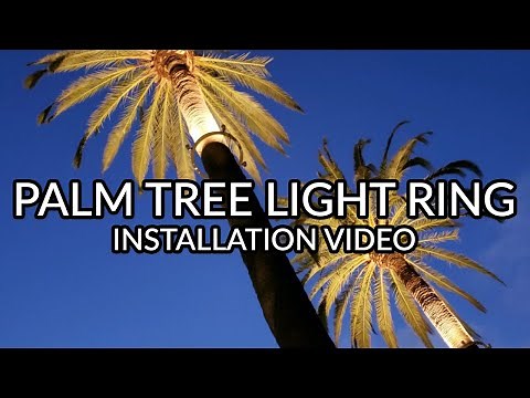 Palm Tree Ring Light (LED) - Installation Video