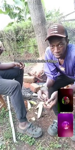 Enjoy Maize Roasting in Your Village Home