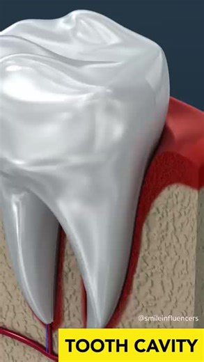 Dental Problem Solutions (@dentalproblems)’s videos with original sound - Dental Problem Solutions