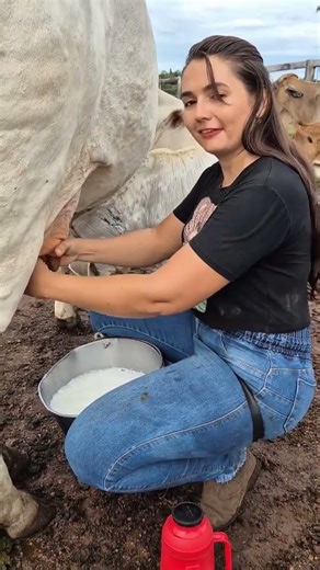 Fresh Milk Straight from the Cow 🐄🥛 | Real Farm Life Experience #villagelife #agro #farming