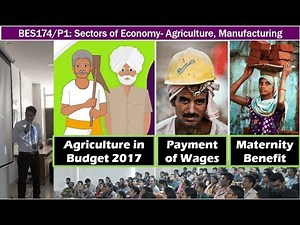 BES174/P1: Sectors of Economy- Agri to Mfg: Schemes, Acts, Policies