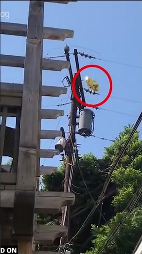 Caught on Camera Biggest Explosions Ever Recorded! 📸🔥