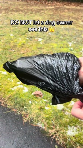 Tag a dog owner who needs this ❤️