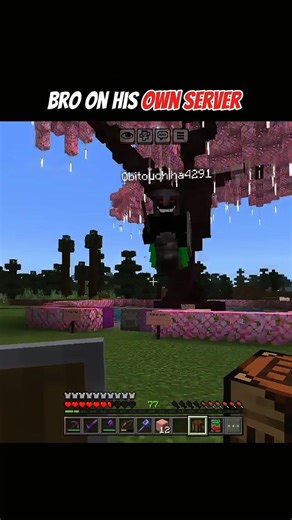 Bro on his own server 🙃#minecraft