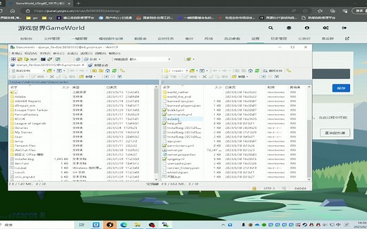 [我的世界]游戏世界上传文件/管理文件教程