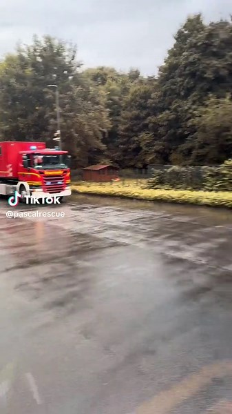 pascalrescue on TikTok