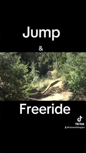 DOWNHILL JUMP & FREERIDE