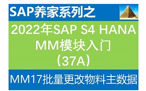 2022年S4 HANA MM入门37 MM17批量更改物料主数据A SAP FICO SAP S4 HANA FICO SAP ABAP