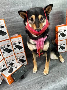 現貨24期含稅 j5create J5 EFP-2多機直播擷取卡 軟體通用 RTMP直播同步錄影 專業直播JVA02-Yahoo拍賣