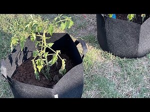 Easy Gardening! Vivosun Heavy Duty Grow Bags