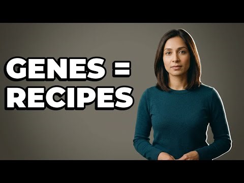 How Can I Explain Genes Using Recipes?