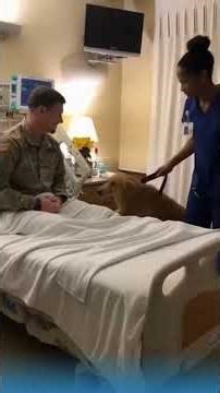 “Unbreakable Bond: Dog’s Pure Love for Humans ❤️🐶” #dog #animals #love #pets #wildlife