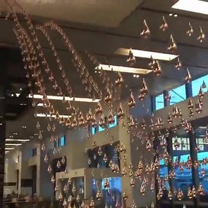 Magic in Singapore | Rationalist