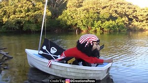 1.2M views · 4K shares | One of the Craziest videos ive ever done.. Here is.. The Pirate.. | RossCreations | Facebook