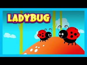 LADYBUG - Nursery Rhymes For Kids || English Poems For Kids - Animated Videos - Videos For Kids