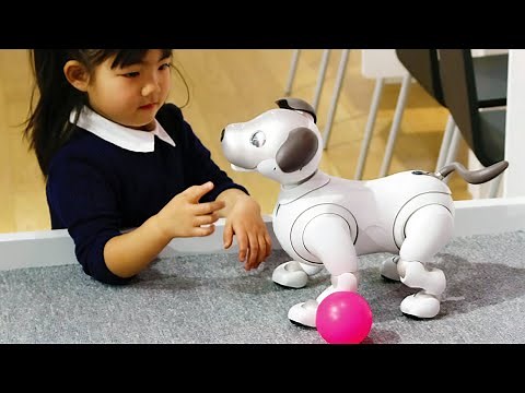 Top 5 Best Robot Dogs on Amazon!