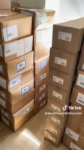 WordforWordBibleComic on TikTok