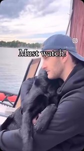 5.4K views · 9.6K reactions | Sometimes peace comes in the form of...