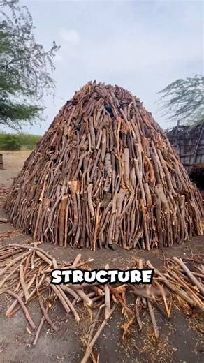 How Ancient Invention Changed Human History #shorts #craft #charcoal