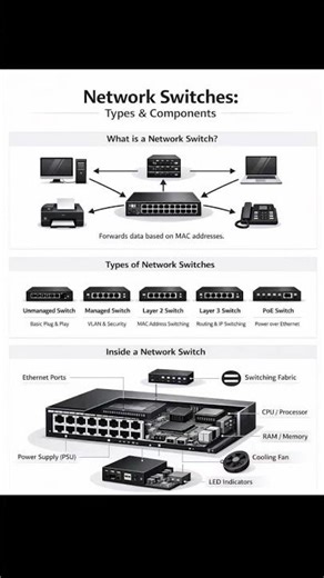 Network Switches Explained | Types of Switches & Internal Components (CCNA Basics)