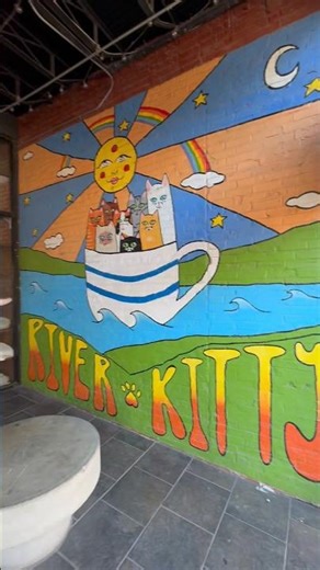 River kitty cat cafe in Evansville, IN is a great place to play with cats!