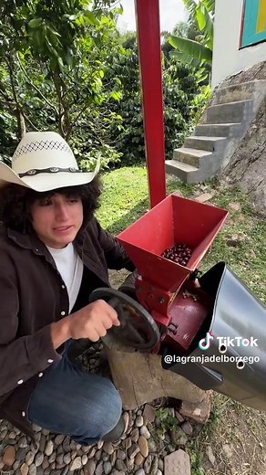 ¿Cuánto cuesta un dron para fumigar? Precio y opciones DJI Agras