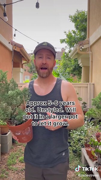 How to Make a Bonsai Over Time: Tips for Growing Your Tree