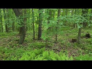 Pennsylvania hunting lease now available on HLRBO!