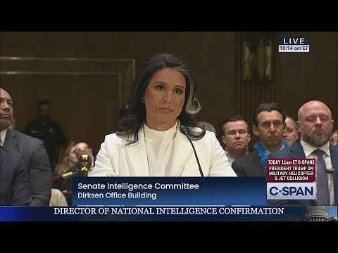 Tulsi Gabbard Senate Confirmation Hearing to be Director of National Intelligence