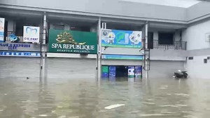 SCAN International on Reels