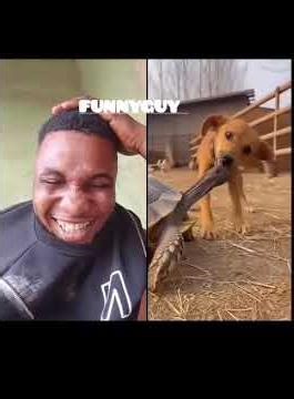 Dog with problem 🤣🤣