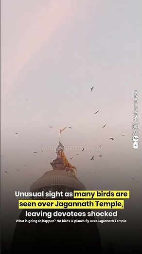 Rare Birds Flying Over Jagannath Temple | Mysterious Sign Shocks Devotees 😲