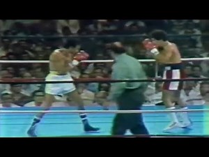 WOW!! WHAT A FIGHT - Wilfredo Gomez vs Carlos Zarate, Full HD Highlights