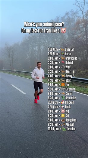 What’s your animal pace? 👀🐾 Be honest… what are you on your easy runs? 😂 ⸻ No matter if you’re a 🐆 or a 🐢 you’re still out there putting in the work. And that’s what actually counts. So trust me: pace doesn’t define you consistency does. Drop your animal below 👇 Follow for real running content, real progress and no BS. always on fire 🔥 #run #running #laufen #fun #animal
