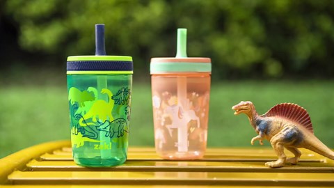 Zak Designs Kelso 15 oz Tumbler Set, (Shells) Leak-Proof Screw-On Lid with Straw Made of Durable Plastic and Silicone, Perfect Cup Bundle for Kids (2pc Set)