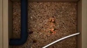 Power Bacsol Cockroach Killing Gel - ছোট / বড় সব তেলাপোকা দমন করে মূল্যঃ ১০৪০ টাকা আজই অর্ডার করুন - 01714111889 | Pest N Clean - Pest Control and Cleaning Services | Facebook