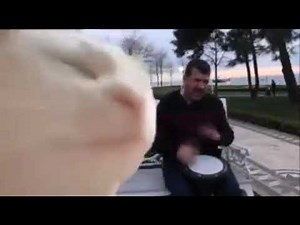 Cat dancing with bongo guy sings song Meme Template