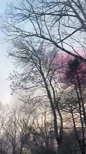 462K views · 4.6K reactions | FIGHT CONTINUES: Paul Robert Fernander caught this HUGE plane dropping fire retardant today over the Table Rock Complex fire line. Unfortunately, the fire doubled in size today and is on track to be the largest Upstate South Carolina wildfire on record. Our prayed for rain arrives Sunday. | Chris Justus, WYFF 4 Chief Meteorologist | Facebook