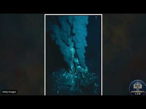 The Geothermal Engine: How Life Survives Without the Sun