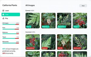 Lobe, software de visão computacional sem código da Microsoft