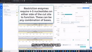 如何使用Benchling在线进行引物设计和克隆模拟（2）